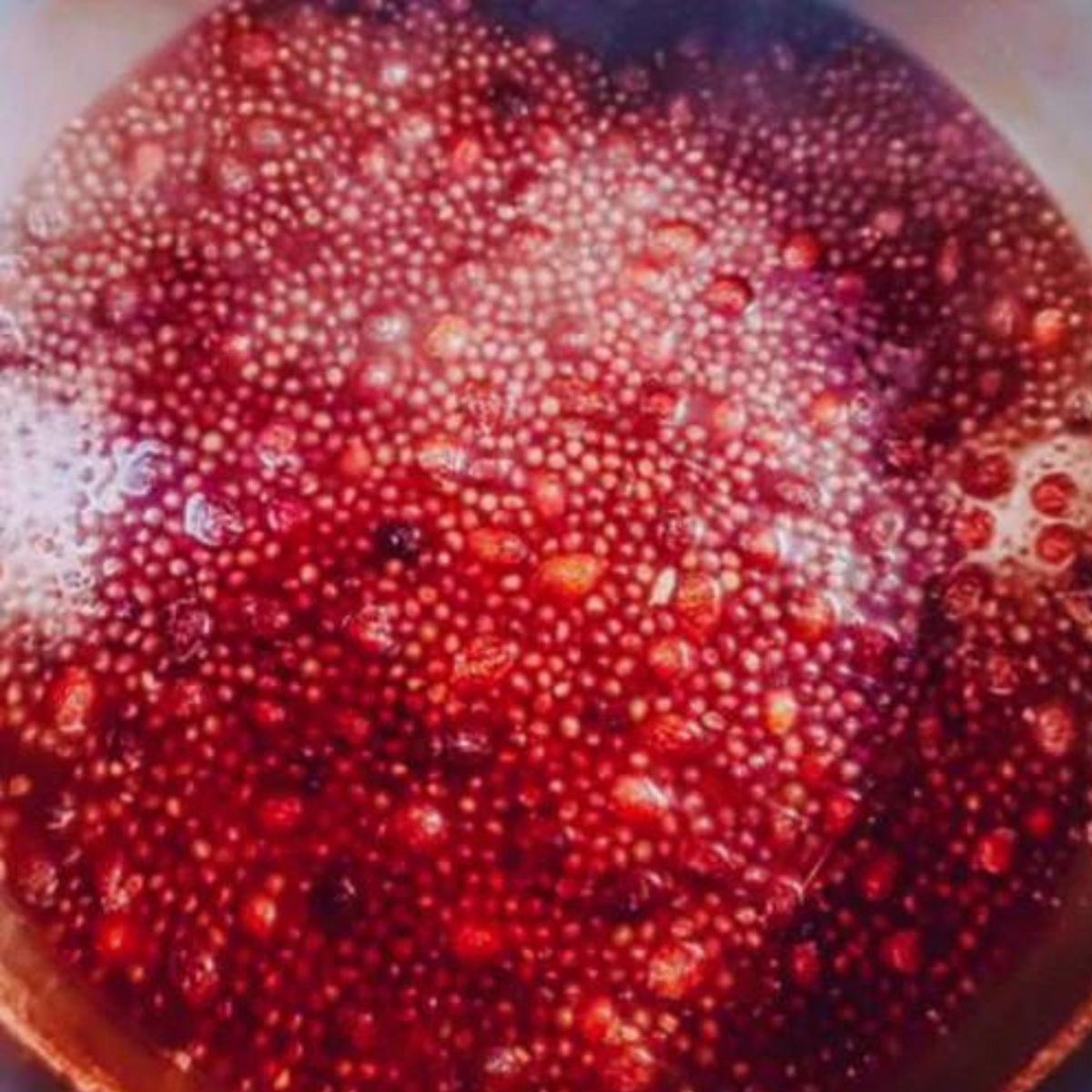 Homemade Elderberry Syrup | Botanical Bee Apothecary